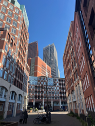 A vertical photo of two ministry towers in The Hague against a blue sky
