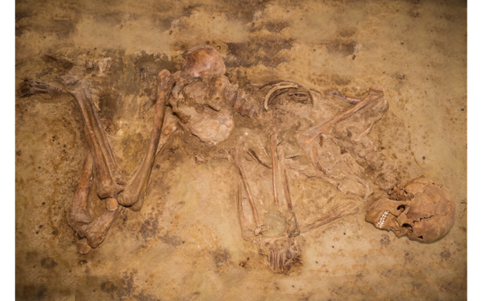 Hurkgraf met het skelet van een 40-jarige man in Oostwoud. Het is het oudste bekende klokbekergraf van de onderzoekers. Bron: Provinciaal Depot voor Archeologie Noord-Holland.