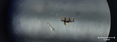 The levitated tiny magnet (size 0,75 x 0,25 mm) inside the microscope
