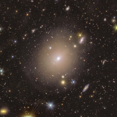 Euclid image of a bright Einstein ring around galaxy NGC_6505
