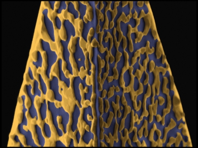 ‘Annealed Platinum on an AFM Tip’ door BSc student Ben Schellevis, uit de onderzoeksgroup van Semonti Bhattacharyya en het AFM lab geleid door Federica Galli