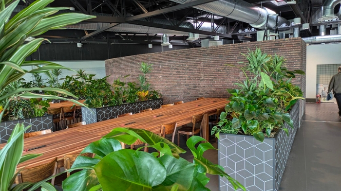 De plantenbakken zijn gemaakt van koffielaminaat