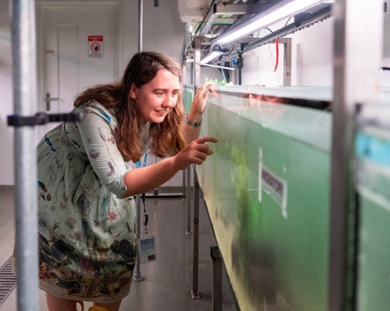 Vissenverzorger Chloe Kenney laat de stekelbaarsjes zien bij de vissenfaciliteit van de Universiteit Leiden
