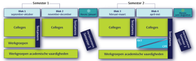 Infographic: structuur programma jaar 1