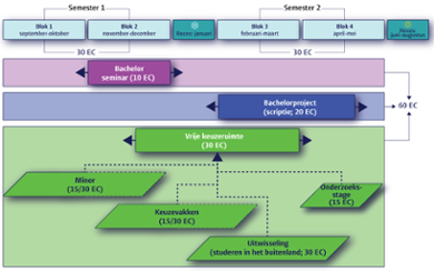 Infographic: structuur programma jaar 3